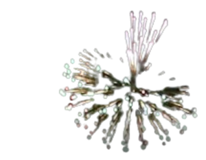 3DPB1-3T: Dominator 3″ Dun Pai “Versa” Asst B1 – 36 Effects – w/ Tails