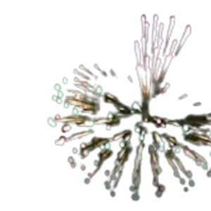 3DPB1-3T: Dominator 3″ Dun Pai “Versa” Asst B1 – 36 Effects – w/ Tails