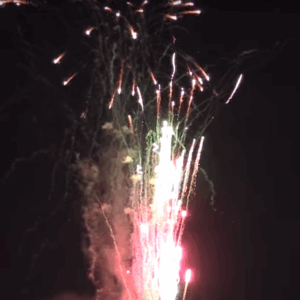 CLDC245-52: Lidu 52 Shot Poison Spider (18 Sec)